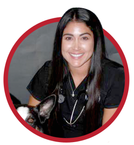 animal hospital