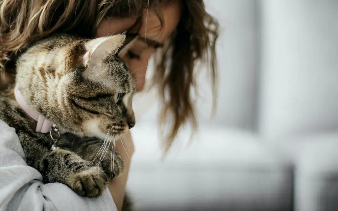 Local Vets| Optional Pet Insurance