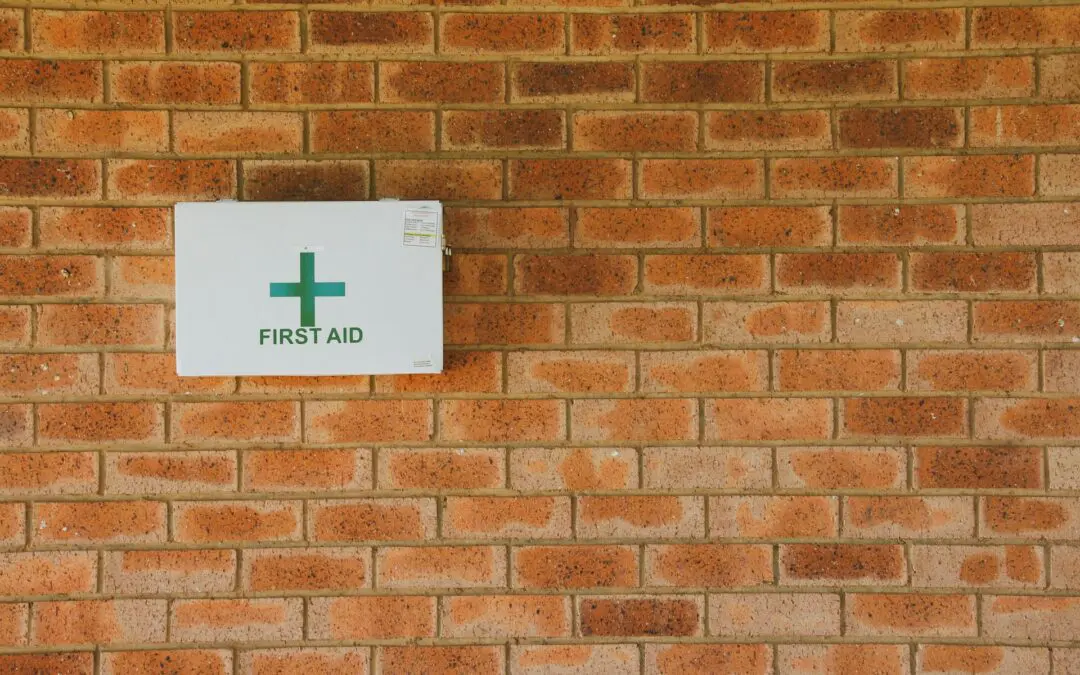 Building Your Pet a First Aid Kit