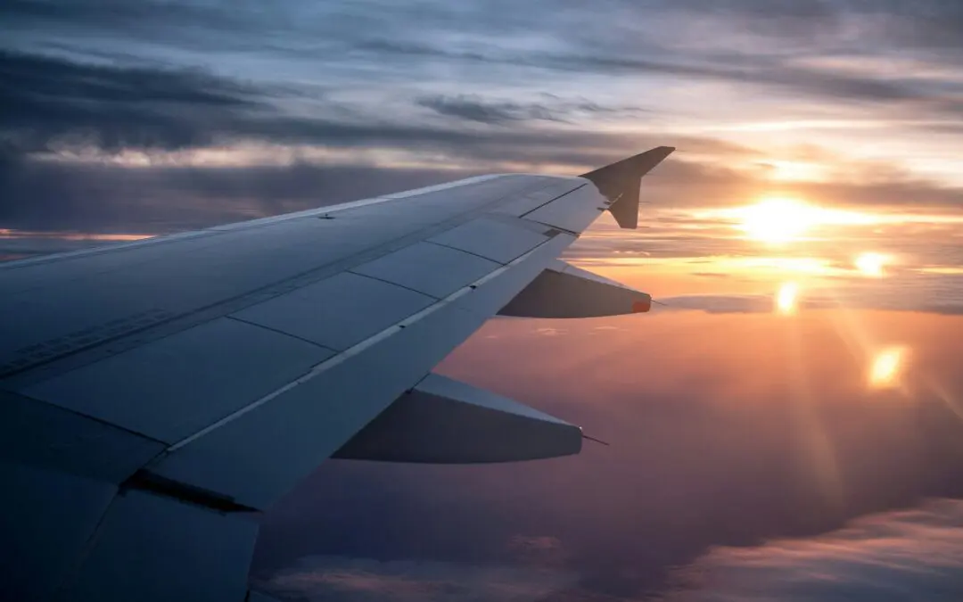 Traveling with Pets Can Be Fun If You’re Prepared