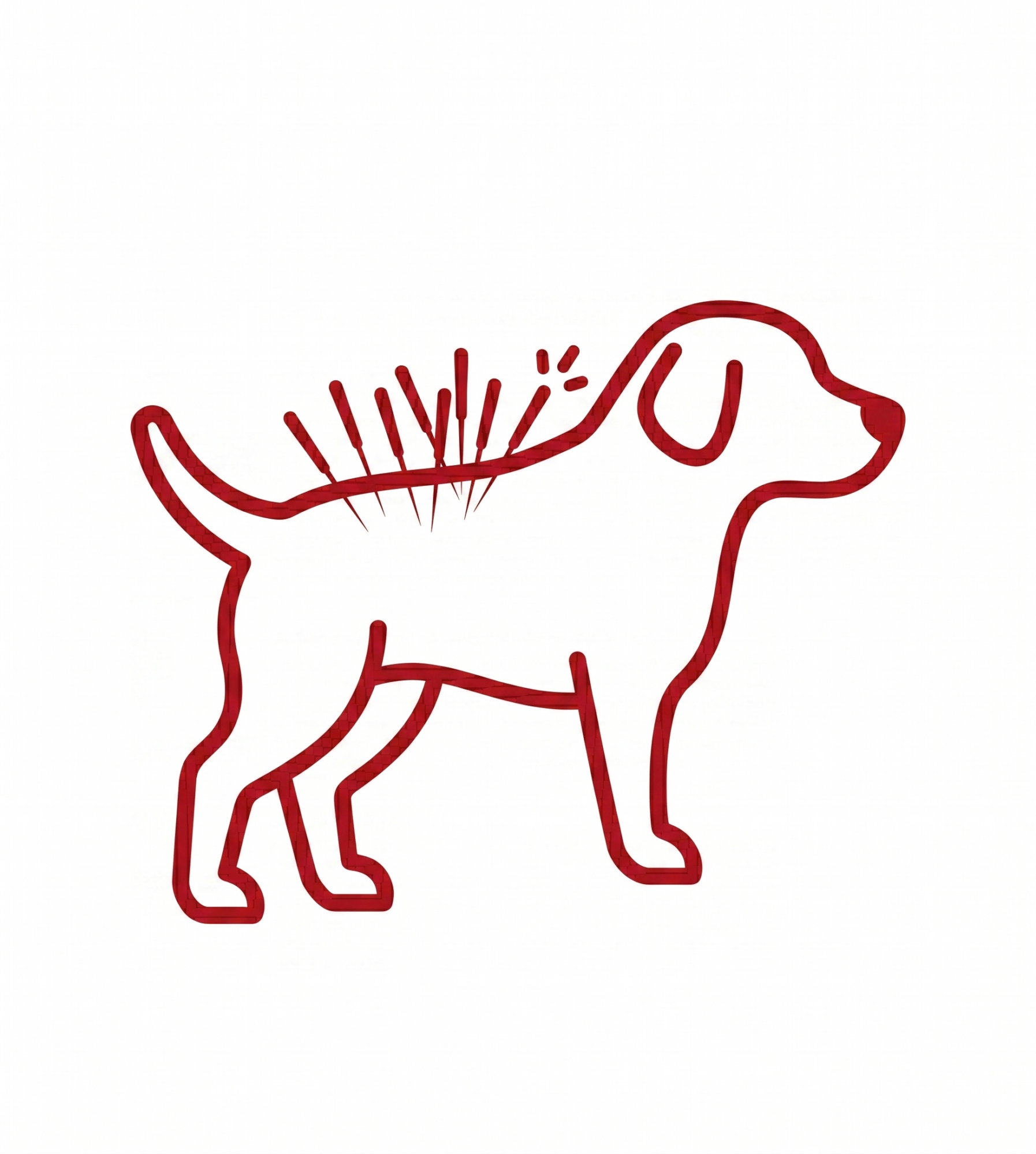 Laser Therapy