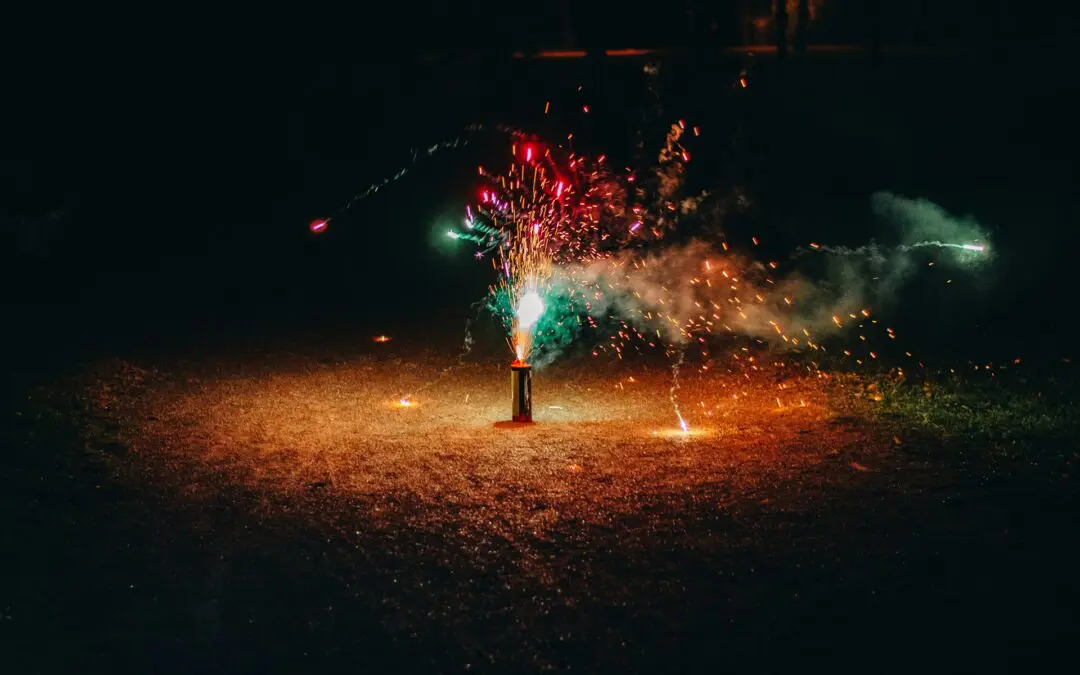 4th of July Fireworks and Pets