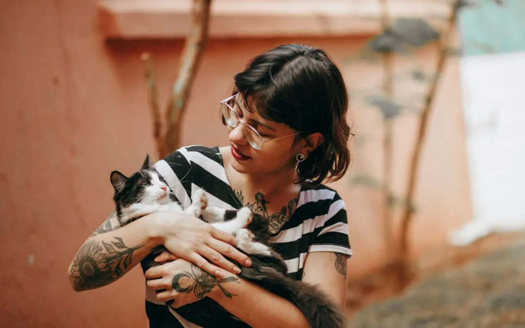 The Best Ways to Show Your Cat Affection
