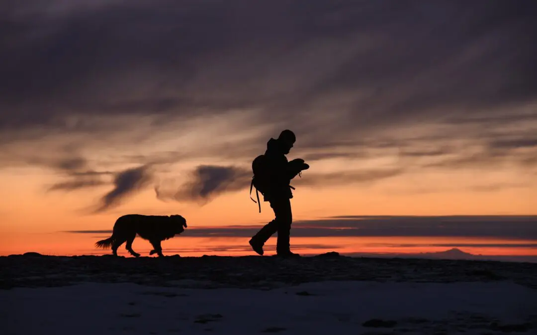 5 Tips for Hiking with Your Dog in Arizona