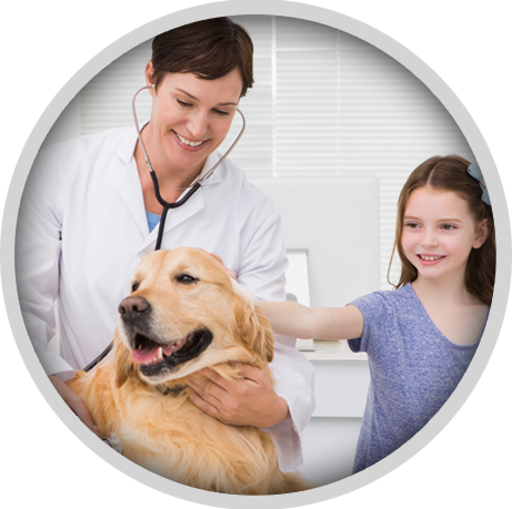 vet surgeon - vet with dog and child