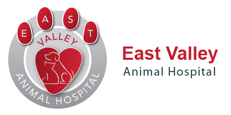 Vet in Gilbert AZ | East Valley Animal Hospital