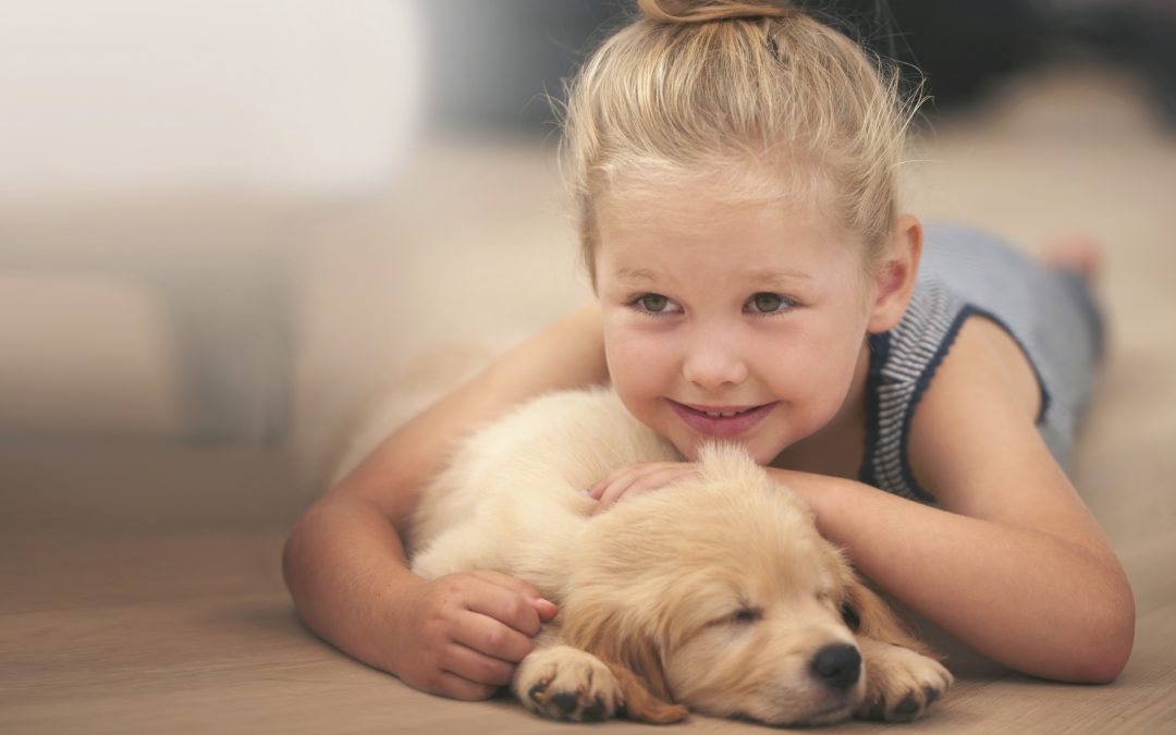 vets in Gilbert - child lying down with puppy