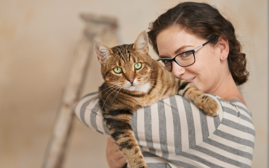 person holding cat against shoulder