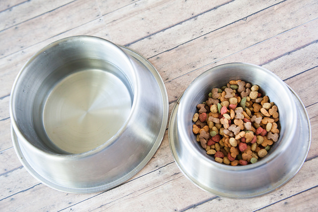 The Components of a Healthy Doggie Diet