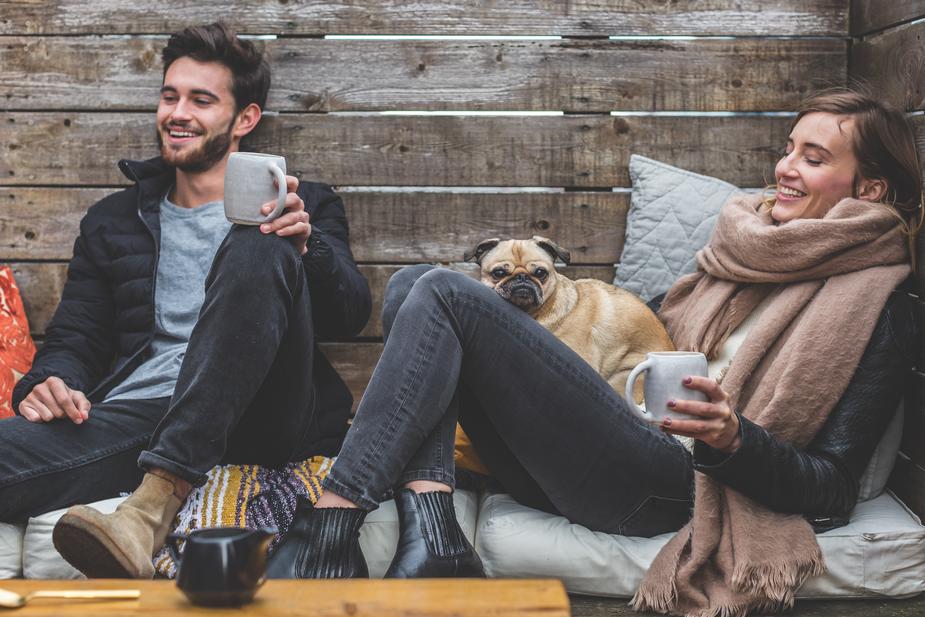 Veterinary Clinic - dog with two people sitting