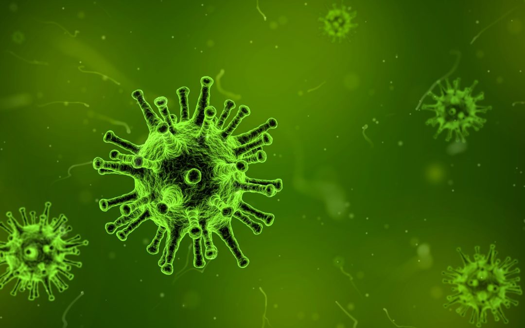 Canine Distemper Virus Symptoms - image of a virus cell