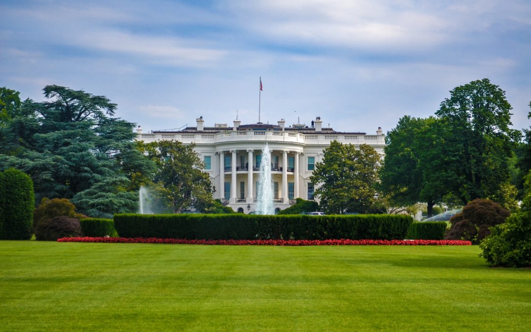 Presidential Pets: Famous Paws in The White House