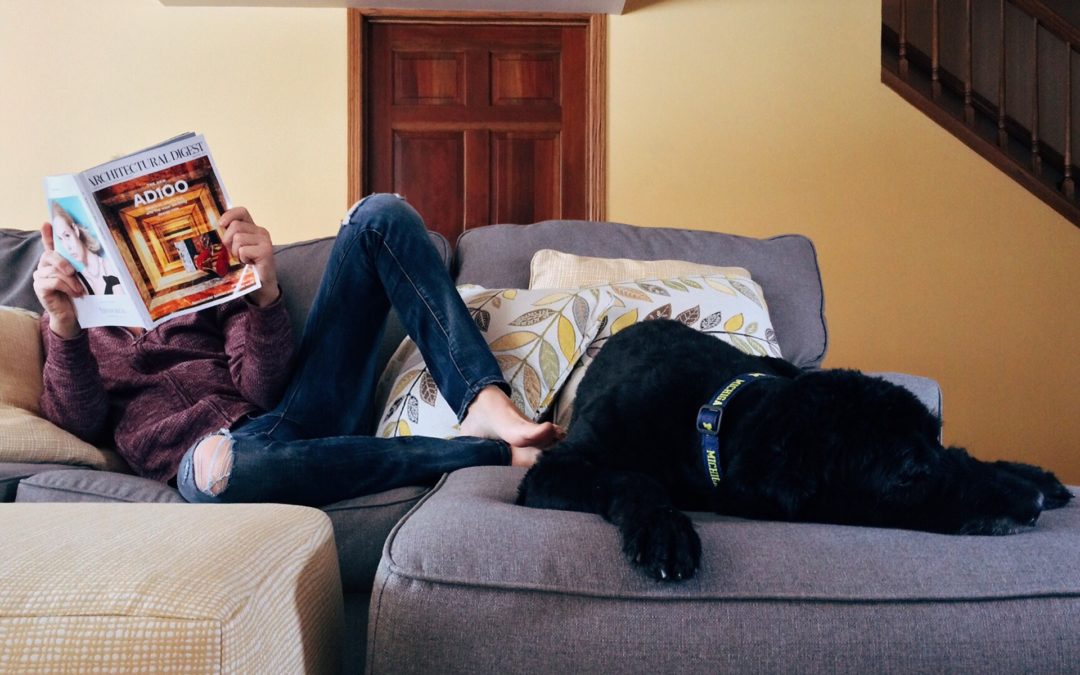 dog quarantine - owner and dog on couch