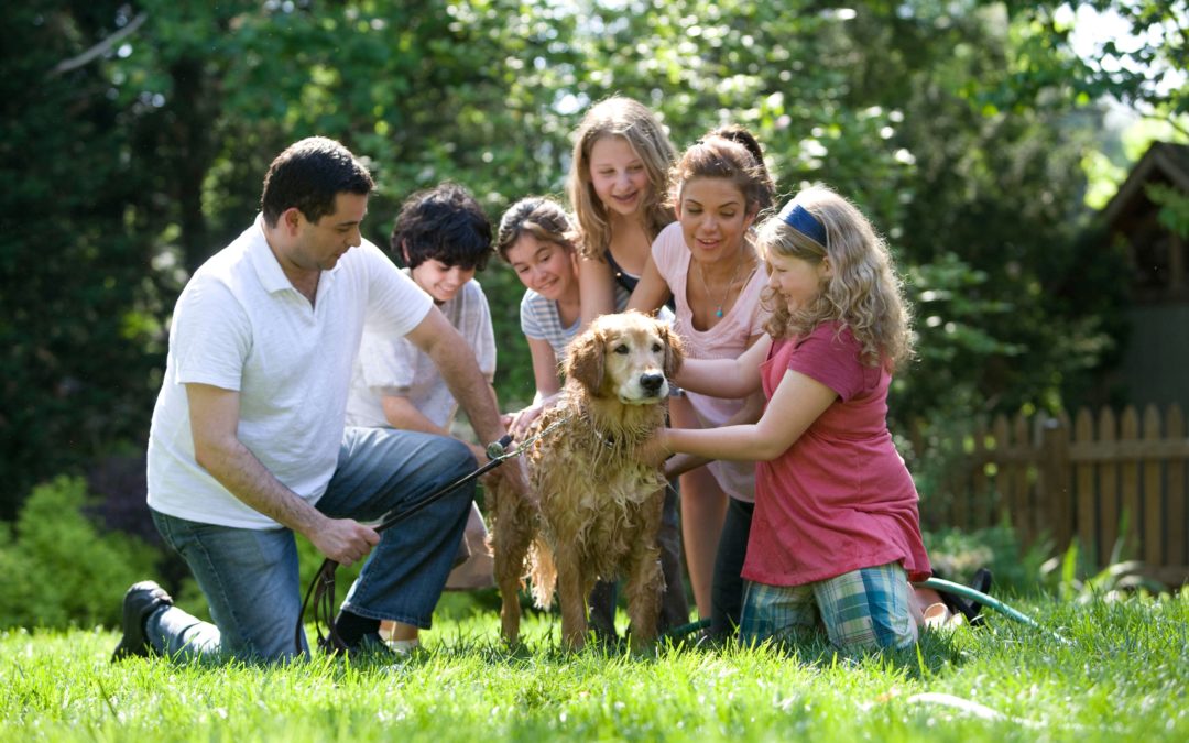 best dog breeds for families - family hosing a dog off