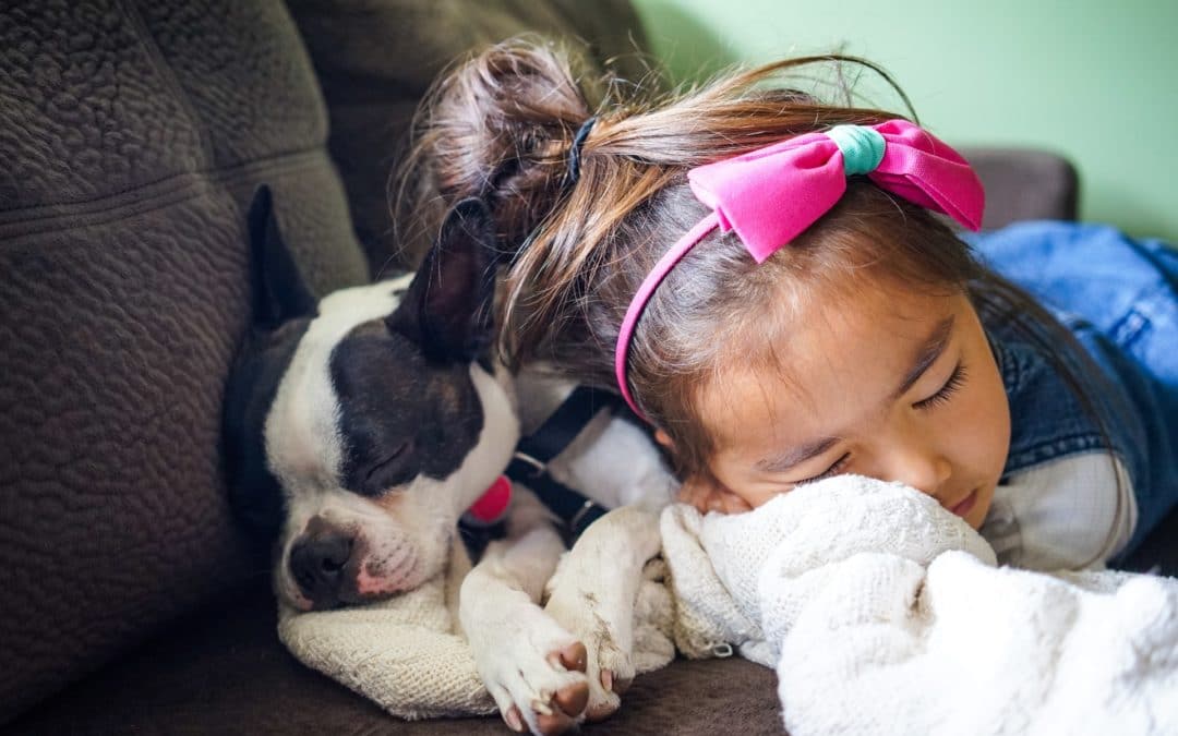 Pet Adoption Tips for Lifelong Companionship