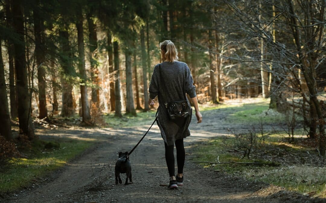 woman walking down a shady hiking path - Walking dog in summer
