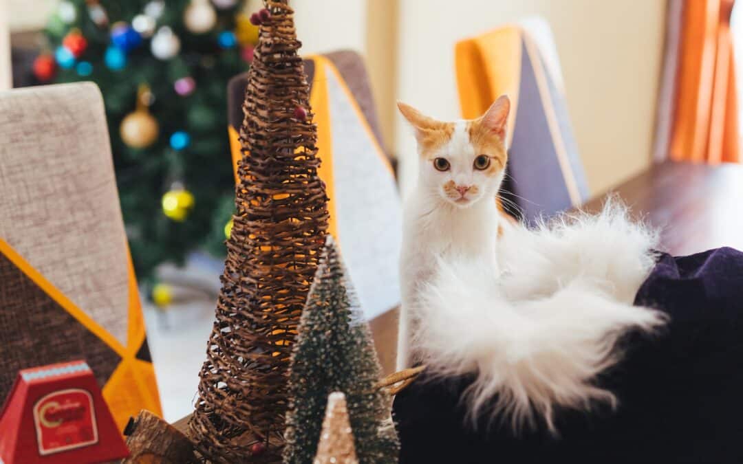 white and brown cat on a table with winter decor -cat destroying decorations