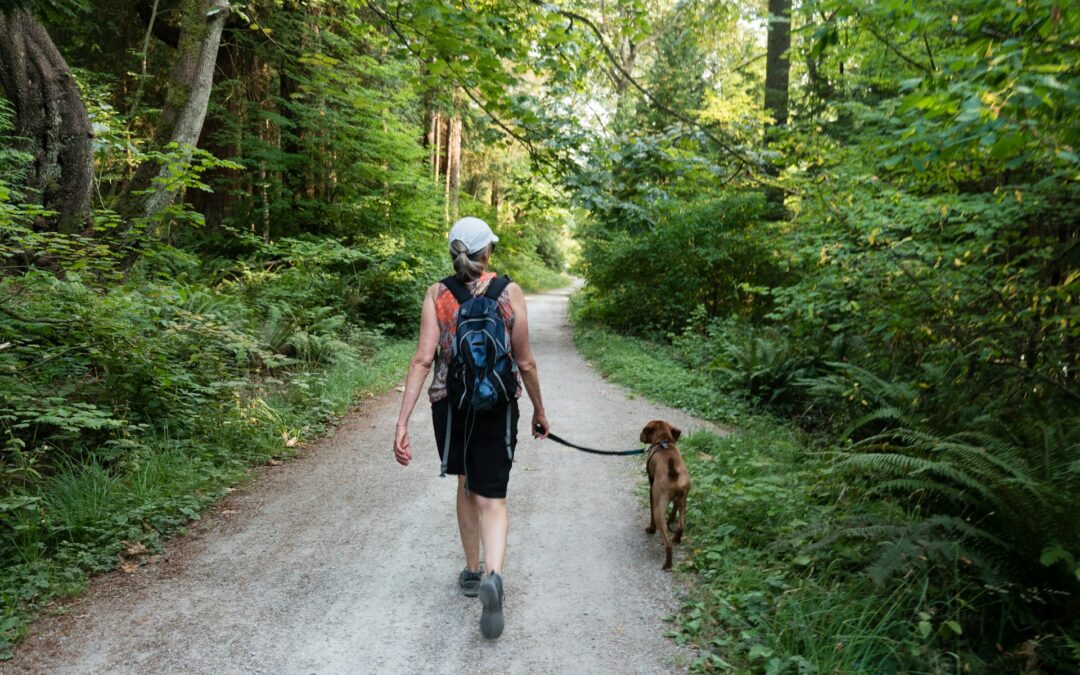 woman and brown dog walking through some nature - benefits of walking your dog